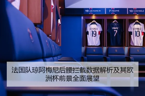 法国队琼阿梅尼后腰拦截数据解析及其欧洲杯前景全面展望